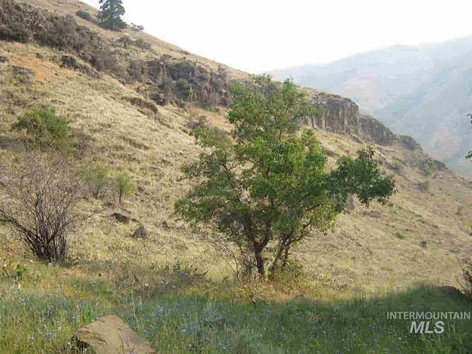 Seven Devils Road Road, Riggins, ID, 83549 (MLS# 98780770) Photo 1