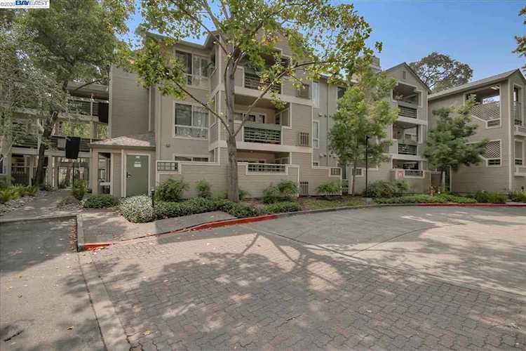 2560 Oak Rd Walnut Creek, CA 94597