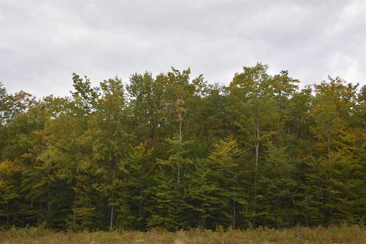 0 Mitchell Rd Concord, VT 05824