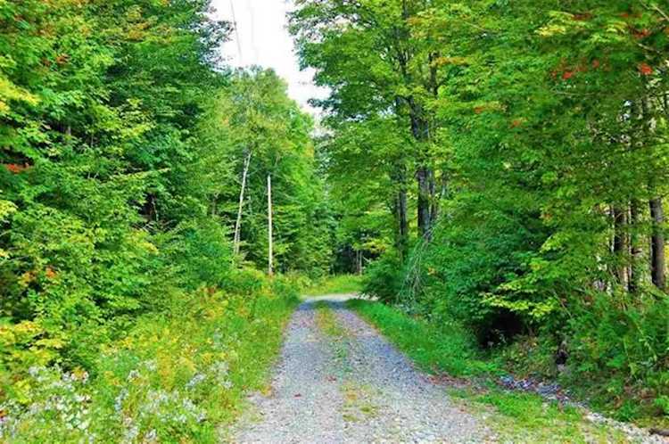 0 Buck Rd Dalton, NH 03598