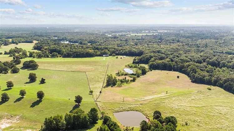 3492 County Road 3802 Bullard, TX 75757