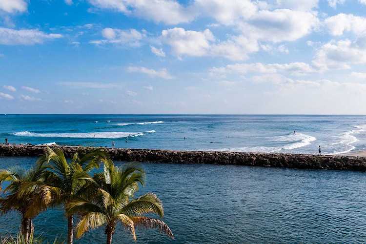 1000 S Ocean Boulevard #102 Boca Raton, FL 33432