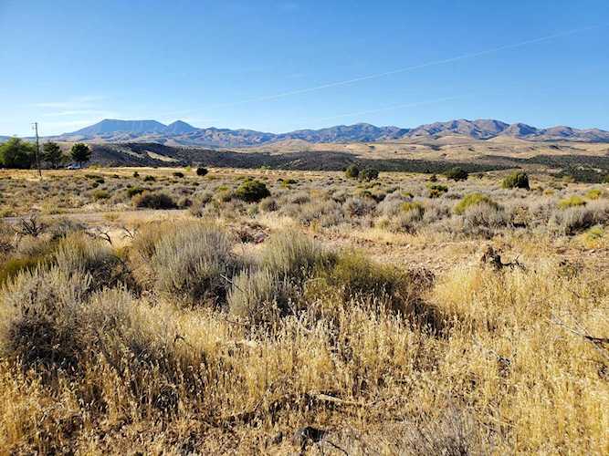 1500 W #3 Veyo, UT 84782