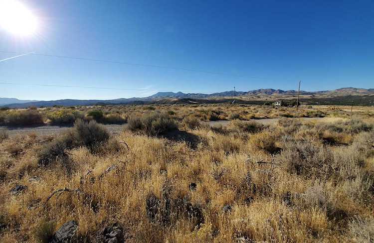 1500 W #2 Veyo, UT 84782