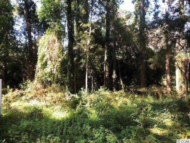 Lot 3 Cedar Grove Ln. Pawleys Island, SC 29585
