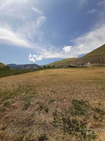 5 Georgianna Dr. Riggins, ID 83549