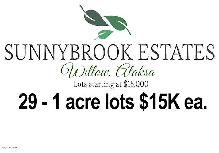 14646 N Sundown Drive Willow, AK 99688