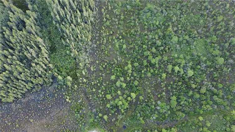 Unknown Polk City, FL 33868