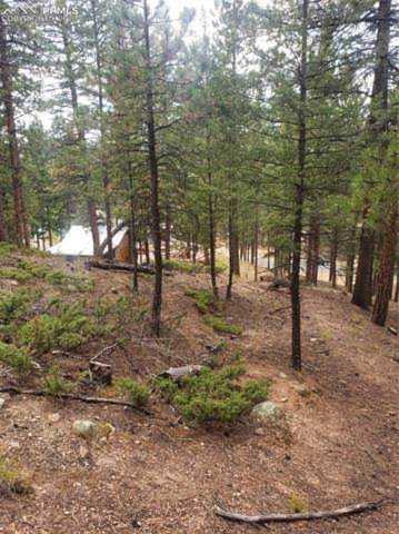 401 Falcons Rest Place Woodland Park, CO 80863