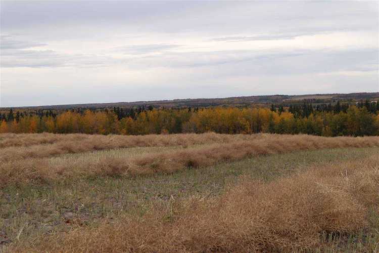 Hwy 20 Twp 473A Rural Brazeau County, AB T0C 0P0