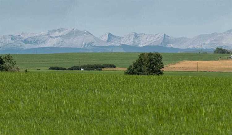 530241 Meridian St Rural Foothills County, AB T0L 0A0