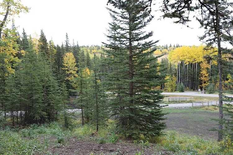 352042 303 Ave W Rural Foothills County, AB T0L 1K0