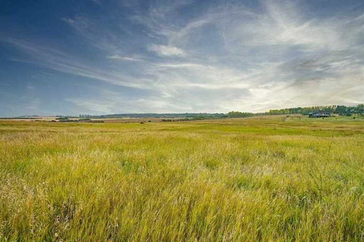 32089 292 Ave E #LOT 4 Rural Foothills County, AB T0L 0X0