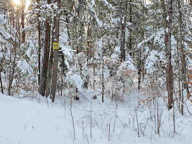 15 M Buzzell Ridge Rd #12 Sandwich, NH 03227