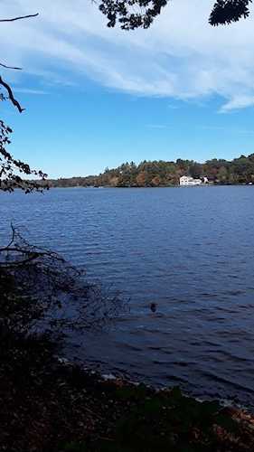 43 White Island Rd Halifax, MA 02338