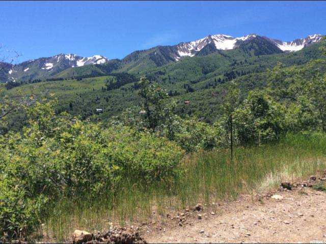 25 Mountain Dr Springville, UT 84663