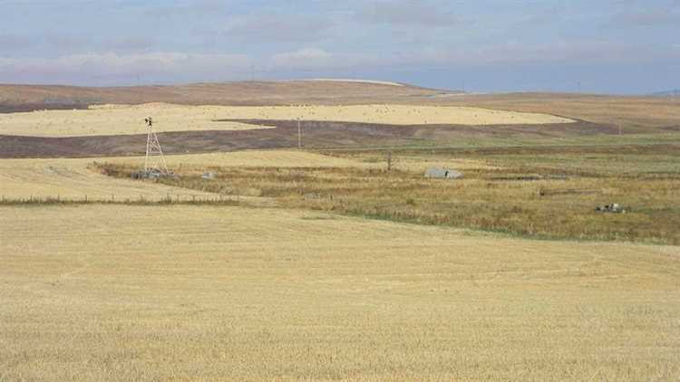 Corner of HWY 543 & 96 St Rural Foothills County, AB T0L 1H0