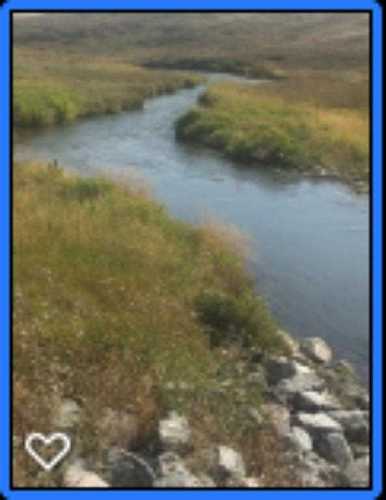 658 Ave Rural Foothills County, AB T0L 0P0