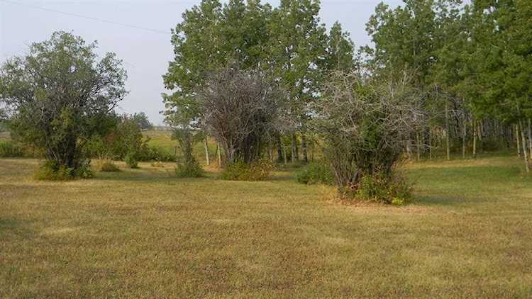 274172 112 St W Rural Foothills County, AB T1S 0W5