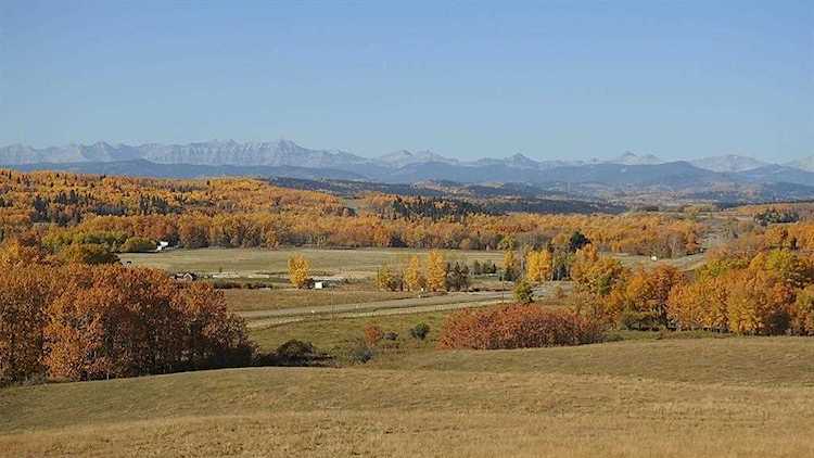 Hwy 549 Rural Foothills County, AB T0L 1K0