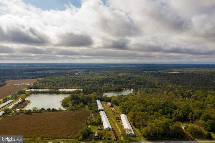 24358 Lawson Rd Georgetown, DE 19947