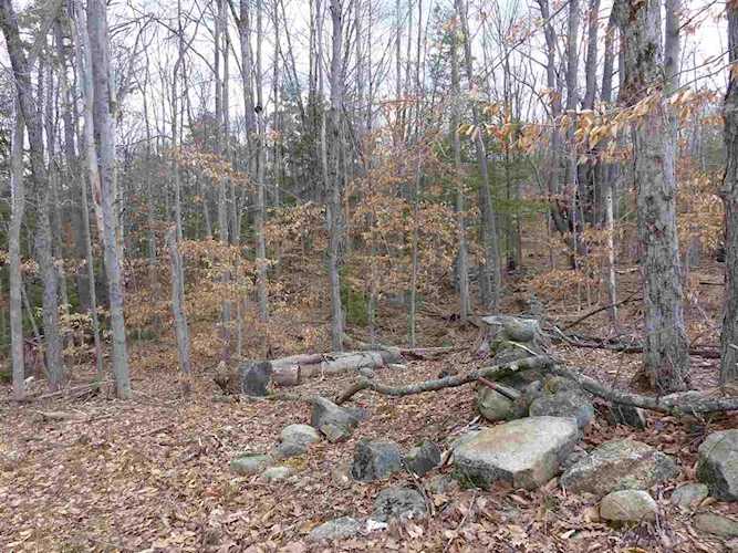 215-10.4 Red Hill Farm Rd Center Harbor, NH 03226