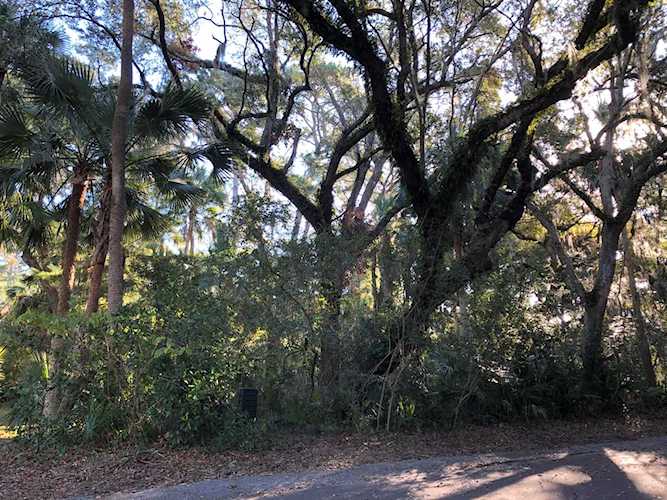 2668 Fox Lair Seabrook Island, SC 29455 | MLS 19029558 Photo 1