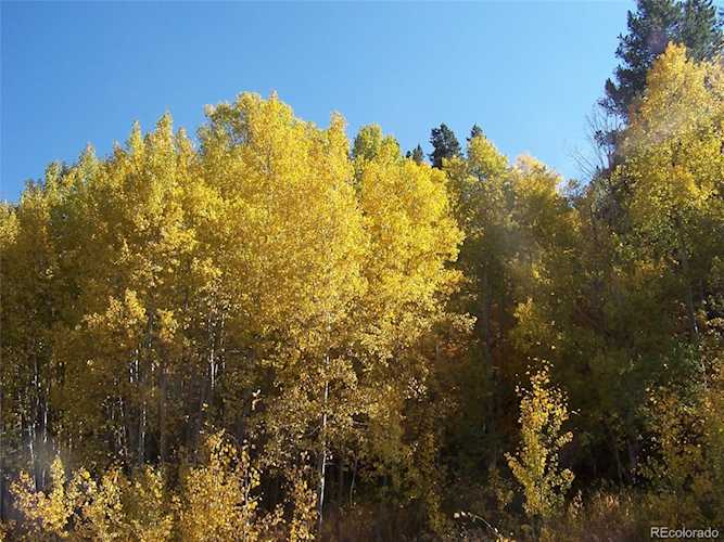 29105 Harrison Trl Steamboat Springs, CO 80487