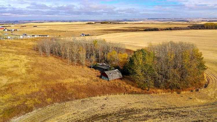 Hwy 783 Hwy Rural Foothills County, AB T1S 1A1