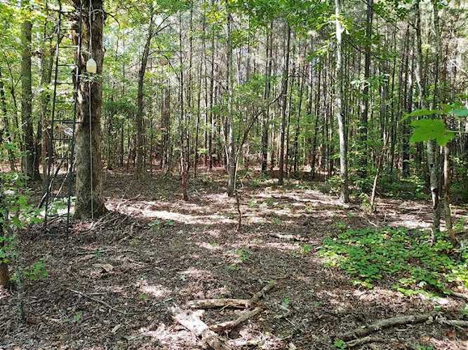 000 White Flats Road Dayton, TN 37321