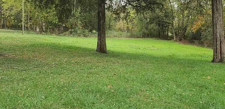 9089 State Highway 58 S Decatur, TN 37322