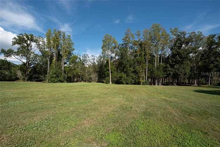 4018 Cove Lake PLACE Land O Lakes, FL 34639