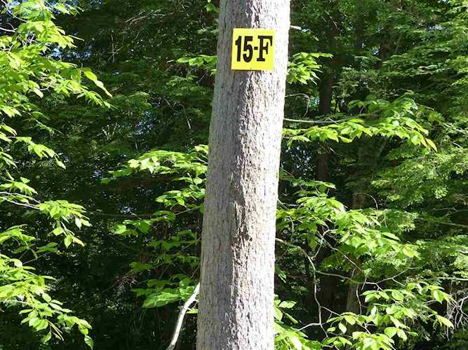 15 F Buzzell Ridge Rd #5 Sandwich, NH 03227