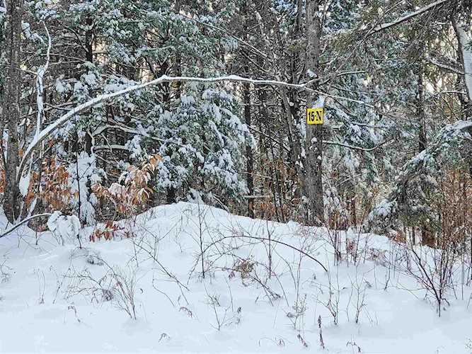 15 N Buzzell Ridge Rd #13 Sandwich, NH 03227