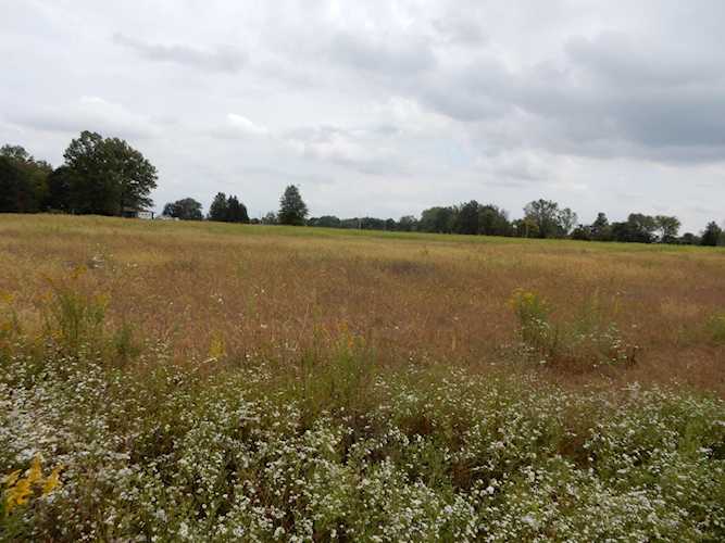 5807 State Route 3 Sunbury, OH 43074