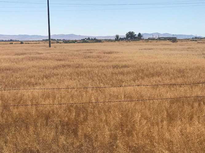 25+ acres Milford Milford, UT 84751