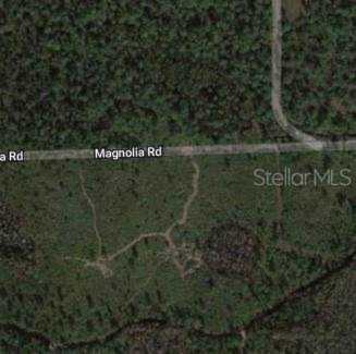 Magnolia Rd New Smyrna Beach Fl Mls 4554