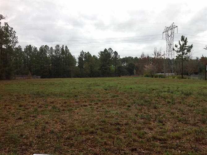 Wakulla Arran Rd Crawfordville, FL 32327 in None Photo 1