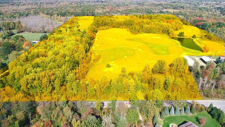 500 Stoney Creek Road Oakland Twp, MI 48363