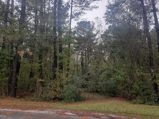 Home For Sale At 00 Mintz Drive, Leland NC 28451 $46,000 Photo 1