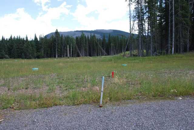 619 Limestone Way Nordegg, AB T0M 2H0