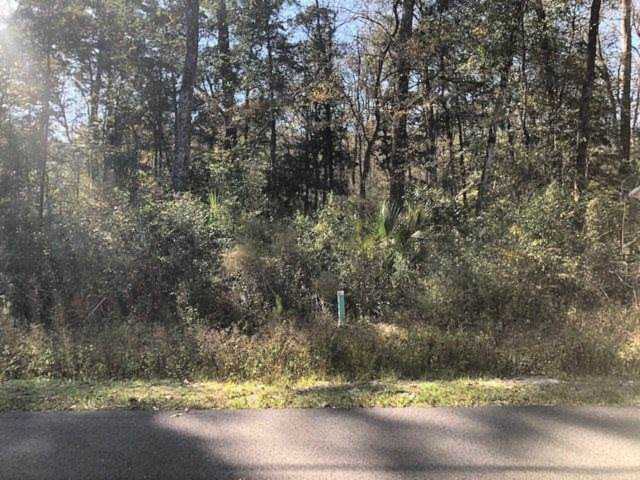 XX Blackfoot Rd Crawfordville, FL 32327 in Wakulla Gardens Photo 1