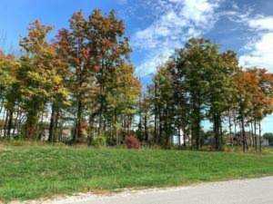 1976 Forestview Lane Delaware, OH 43015