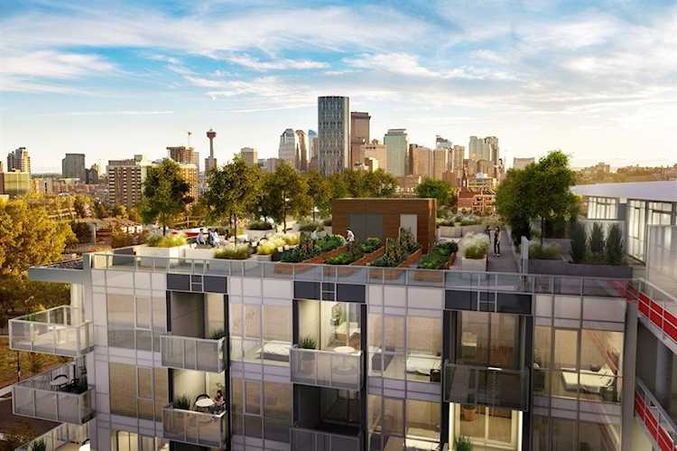88 9 St NE #431 Calgary, AB T2E 4E1
