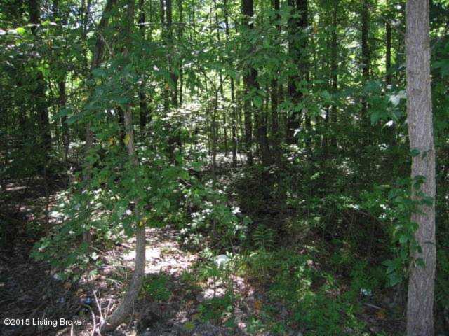 99 Hwy 1020 Brooks, KY 40109 | MLS 1428090 Photo 1