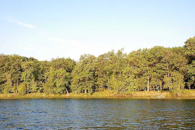 TBD Lot D Eaglewood Dr Deerwood, MN 56444