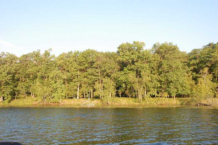 TBD Lot B Eaglewood Dr Deerwood, MN 56444