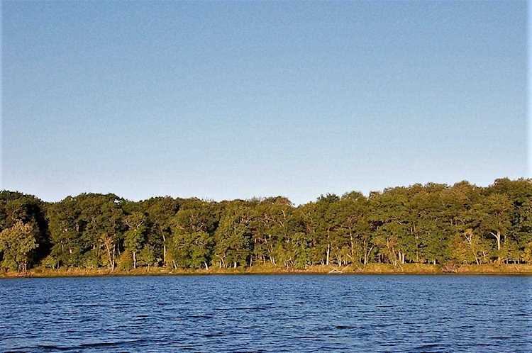 TBD Lot A Eaglewood Dr Deerwood, MN 56444