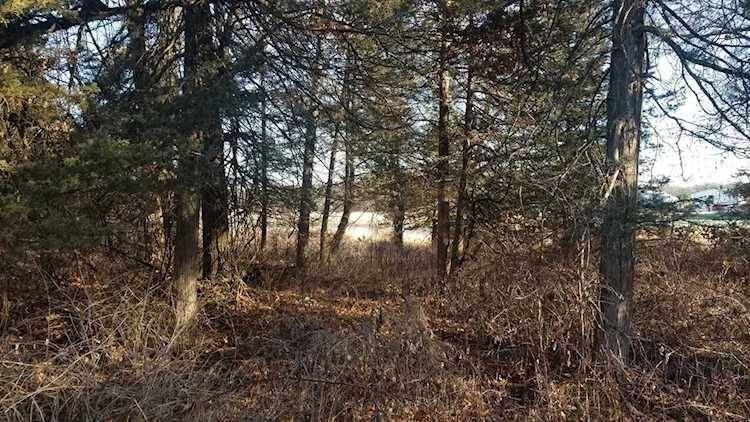 20721 Kiowa Street NW Oak Grove, MN 55011