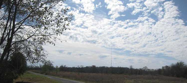 299 Mccrary Rd Lebanon, TN 37090